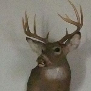 Meet your Posher, Marcus